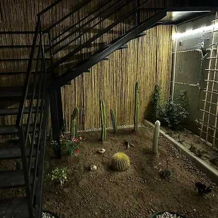 Terrace * Gumuldur